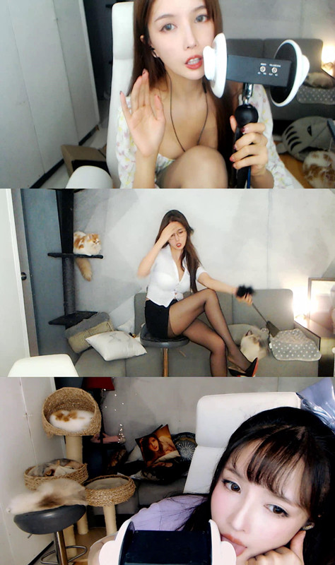 【斗鱼】大艺术嘉carrie 飞机资源ASMR+图+啄木鸟系列音频合集