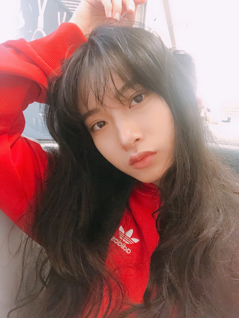 云盘高质露脸泄密！商学院高颜值清纯美女【丽莉】不雅露脸性爱自拍流出