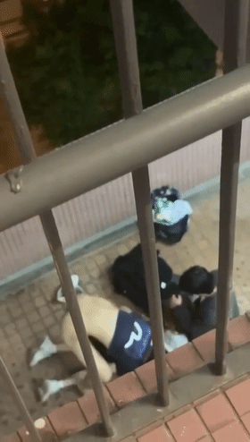 香港屋苑学生模样2男1女，户外3P多人运动，玩得好开好嗨呀！